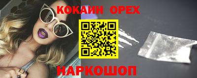 гидра Заводоуковск