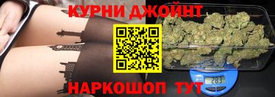 гидра Заводоуковск