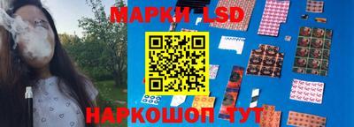 гидра Заводоуковск
