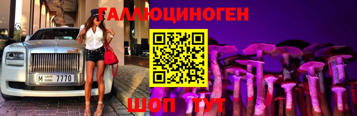 Псилоцибиновые грибы Psilocybine cubensis  Вход с VPN  Йошкар-Ола 